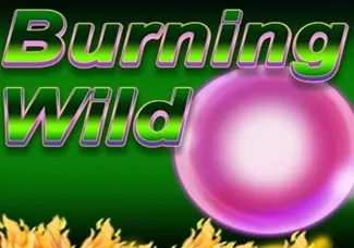 Burning Wild
